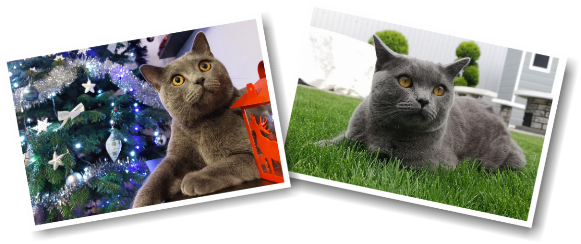 Fotó nyomtatás Fotó nyomtatás